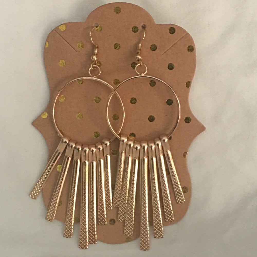 Earrings NWOT